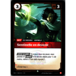 Sentinelle en Devenir (SFD - 008/221 - FR)